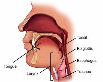 Single throat to choke” Does it still make sense in today's